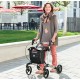 Rollators Gemino 30 SpeedControl