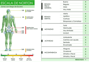 escaras norton