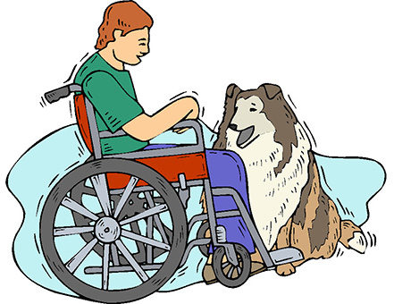 Qué beneficios aporta una mascota a las personas con discapacidad
